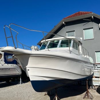 b12578e1-7e8e-4f21-9826-b8e70c4025a7